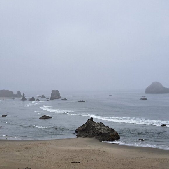 Closet Closing Announcement - Picture 11 of 13